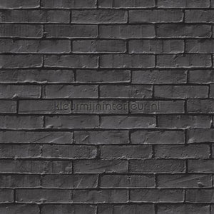 Caselio Young and Free YNF103299090 | Bestellen bij https://www.kleurmijninterieur.nl/