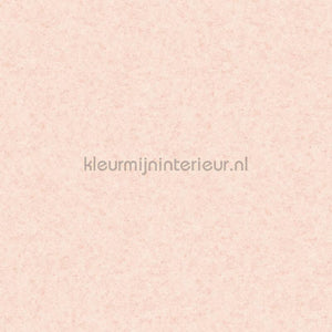 Noordwand Small Prints G56671 | Bestellen bij https://www.kleurmijninterieur.nl/