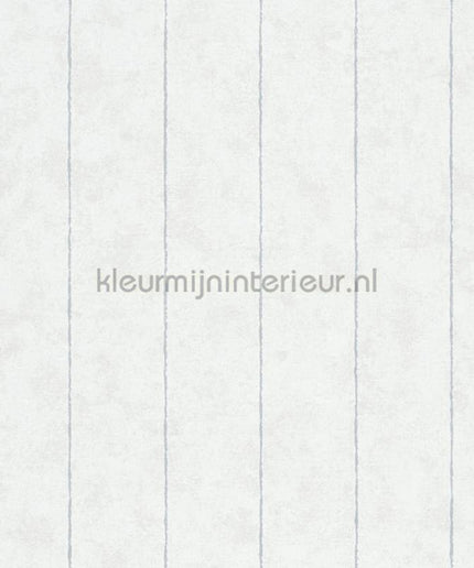 Noordwand Shades Iconic 34403 | Bestellen bij https://www.kleurmijninterieur.nl/