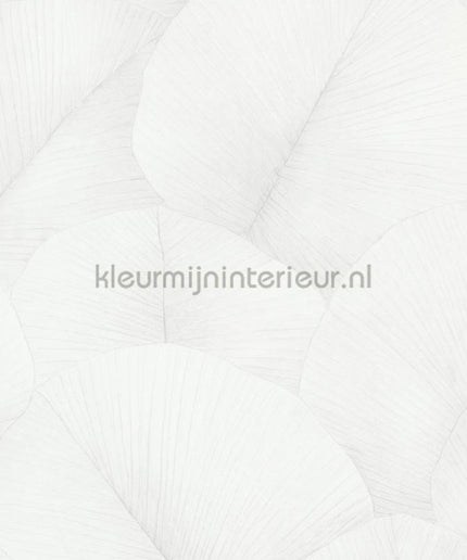 Noordwand Kumano 34507 | Bestellen bij https://www.kleurmijninterieur.nl/