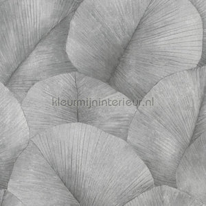 Noordwand Kumano 34508 | Bestellen bij https://www.kleurmijninterieur.nl/