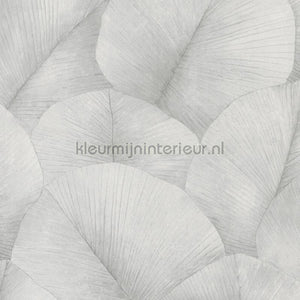 Noordwand Kumano 34509 | Bestellen bij https://www.kleurmijninterieur.nl/
