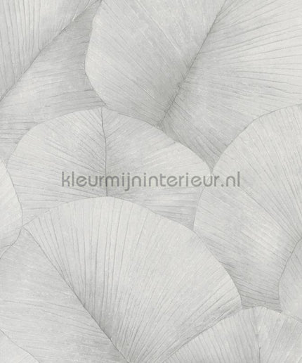 Noordwand Kumano 34509 | Bestellen bij https://www.kleurmijninterieur.nl/