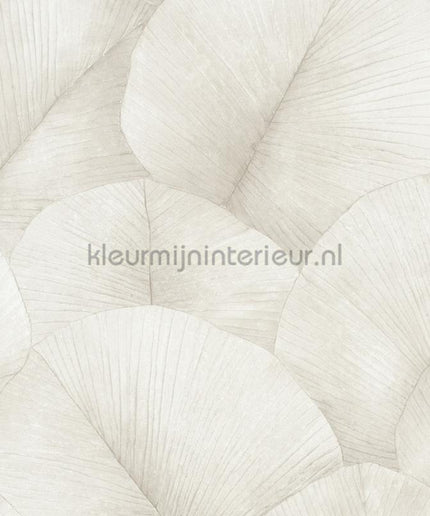 Noordwand Kumano 34510 | Bestellen bij https://www.kleurmijninterieur.nl/