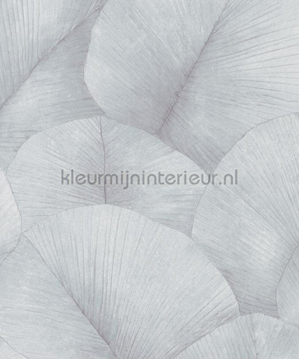 Noordwand Kumano 34512 | Bestellen bij https://www.kleurmijninterieur.nl/