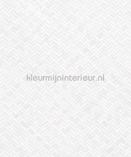 Noordwand Botanica 33315 | Bestellen bij https://www.kleurmijninterieur.nl/