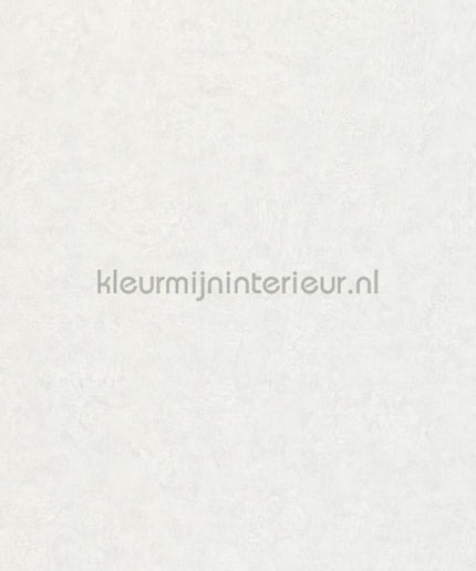 Noordwand Kumano 34517 | Bestellen bij https://www.kleurmijninterieur.nl/