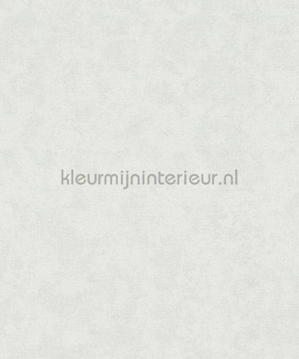 Noordwand Shades Iconic 32402 | Bestellen bij https://www.kleurmijninterieur.nl/