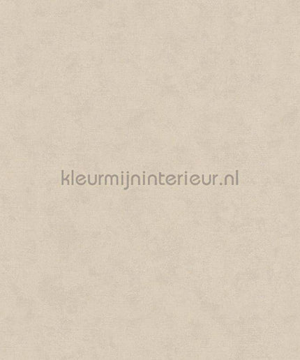 Noordwand Shades Iconic 32428 | Bestellen bij https://www.kleurmijninterieur.nl/
