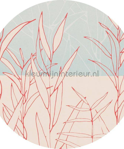 Komar Dots D1-078 | Bestellen bij https://www.kleurmijninterieur.nl/