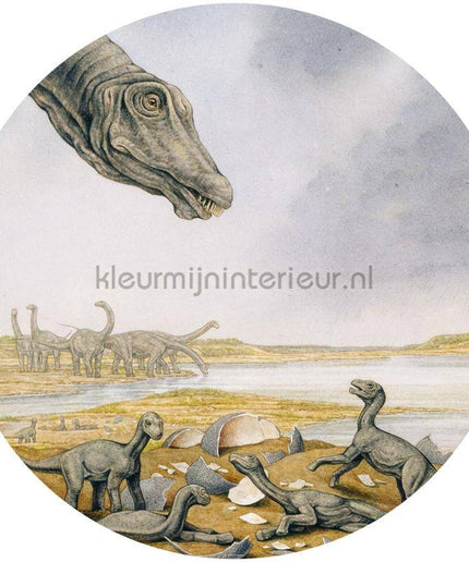 Komar Dots DNG1-001 | Bestellen bij https://www.kleurmijninterieur.nl/