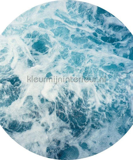 Komar Dots D1-040 | Bestellen bij https://www.kleurmijninterieur.nl/