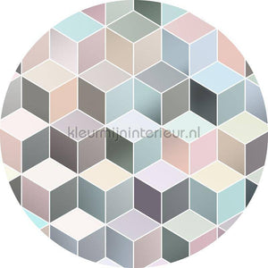Komar Dots D1-012 | Bestellen bij https://www.kleurmijninterieur.nl/