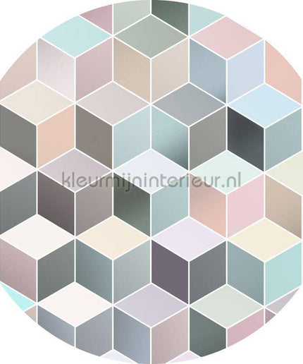 Komar Dots D1-012 | Bestellen bij https://www.kleurmijninterieur.nl/