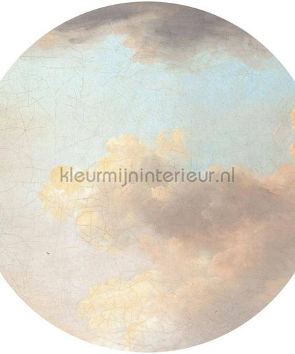 Komar Dots D1-014 | Bestellen bij https://www.kleurmijninterieur.nl/