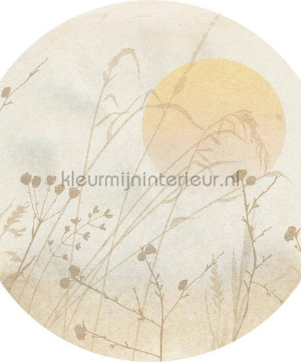 Komar Dots D1-099 | Bestellen bij https://www.kleurmijninterieur.nl/
