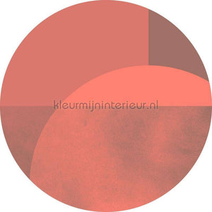 Komar Dots D1-002 | Bestellen bij https://www.kleurmijninterieur.nl/