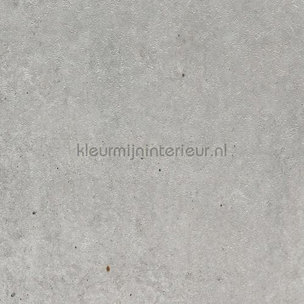 Bodaq Stenen Beton ns401 | Bestellen bij https://www.kleurmijninterieur.nl/