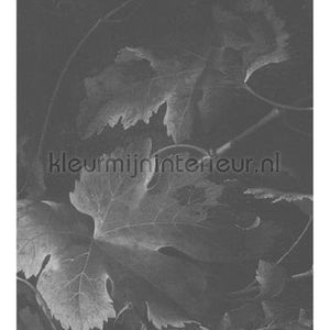 Kek Amsterdam Golden Age Flowers WP-341 | Bestellen bij https://www.kleurmijninterieur.nl/