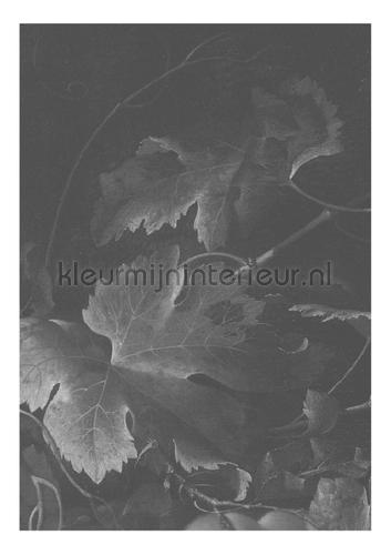 Kek Amsterdam Golden Age Flowers WP-341 | Bestellen bij https://www.kleurmijninterieur.nl/