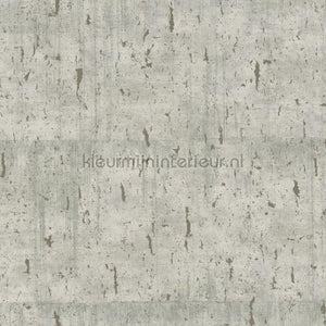 Hookedonwalls Amur 15115 | Bestellen bij https://www.kleurmijninterieur.nl/