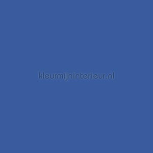 Bodaq Uni s173 | Bestellen bij https://www.kleurmijninterieur.nl/