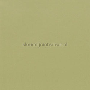Bodaq Uni s200 | Bestellen bij https://www.kleurmijninterieur.nl/