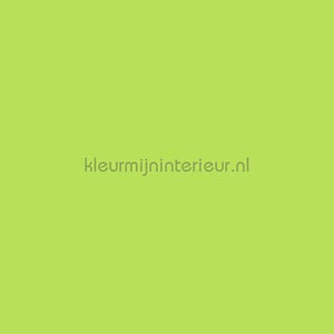 Bodaq Uni s219 | Bestellen bij https://www.kleurmijninterieur.nl/