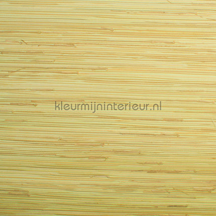 Rodeka Savanna 99-004 | Bestellen bij https://www.kleurmijninterieur.nl/