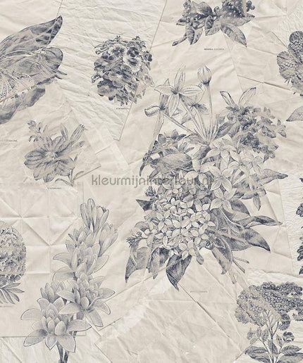 Komar RAW R4-045 | Bestellen bij https://www.kleurmijninterieur.nl/
