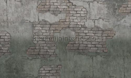 Noordwand Vanilla Lime 14244 | Bestellen bij https://www.kleurmijninterieur.nl/