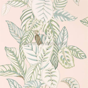 Sanderson Glasshouse 216632 | Bestellen bij https://www.kleurmijninterieur.nl/