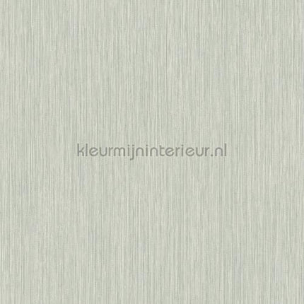 Hookedonwalls New Wave 24832 | Bestellen bij https://www.kleurmijninterieur.nl/