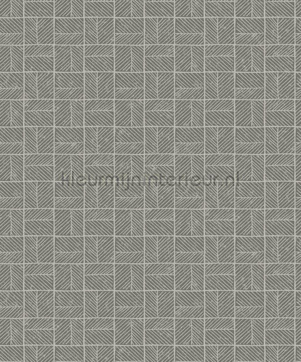 Hookedonwalls Alegria 23882 | Bestellen bij https://www.kleurmijninterieur.nl/
