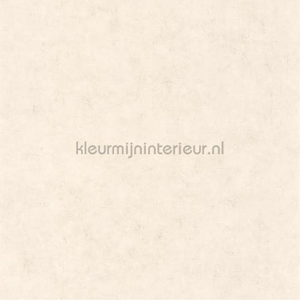 Caselio Beton bet101481258 | Bestellen bij https://www.kleurmijninterieur.nl/