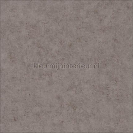 Caselio Beton bet101481590 | Bestellen bij https://www.kleurmijninterieur.nl/