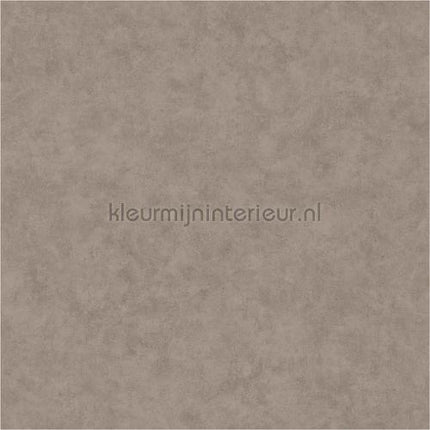 Caselio Beton bet101481899 | Bestellen bij https://www.kleurmijninterieur.nl/