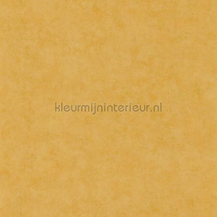 Caselio Beton bet101482000 | Bestellen bij https://www.kleurmijninterieur.nl/