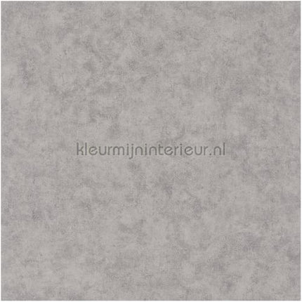 Caselio Beton bet101489550 | Bestellen bij https://www.kleurmijninterieur.nl/