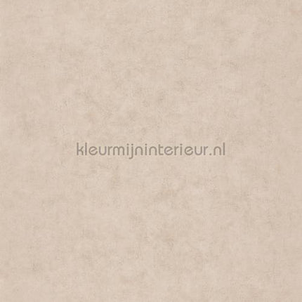 Caselio Beton bet101491287 | Bestellen bij https://www.kleurmijninterieur.nl/