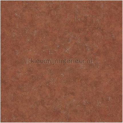 Caselio Beton bet101493120 | Bestellen bij https://www.kleurmijninterieur.nl/