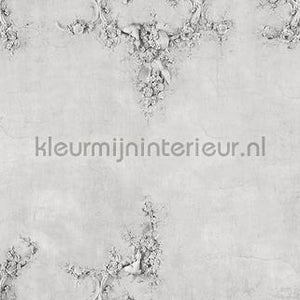 Coordonne Random Papers 2 6800504 | Bestellen bij https://www.kleurmijninterieur.nl/