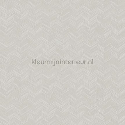 Hookedonwalls New Wave 24814 | Bestellen bij https://www.kleurmijninterieur.nl/