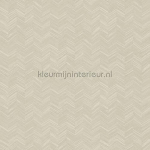 Hookedonwalls New Wave 24815 | Bestellen bij https://www.kleurmijninterieur.nl/