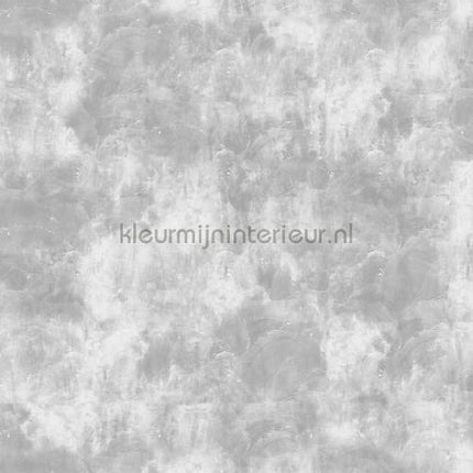 Noordwand Concrete Cire 330723 | Bestellen bij https://www.kleurmijninterieur.nl/