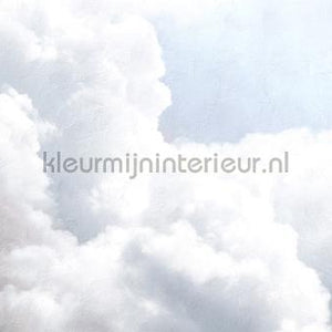 Coordonne Random Papers 2 6800702 | Bestellen bij https://www.kleurmijninterieur.nl/