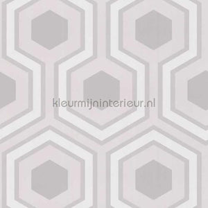 Cole and Son Contemporary Restyled 95-6036 | Bestellen bij https://www.kleurmijninterieur.nl/