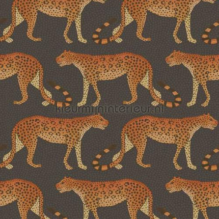 Cole and Son Ardmore 109-2008 | Bestellen bij https://www.kleurmijninterieur.nl/