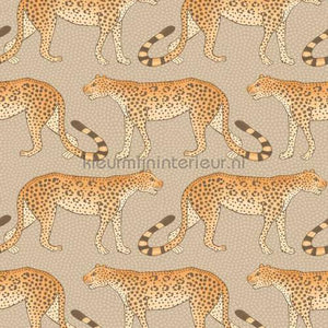 Cole and Son Ardmore 109-2010 | Bestellen bij https://www.kleurmijninterieur.nl/