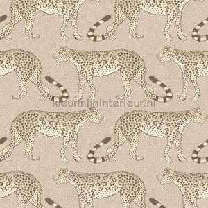 Cole and Son Ardmore 109-2012 | Bestellen bij https://www.kleurmijninterieur.nl/